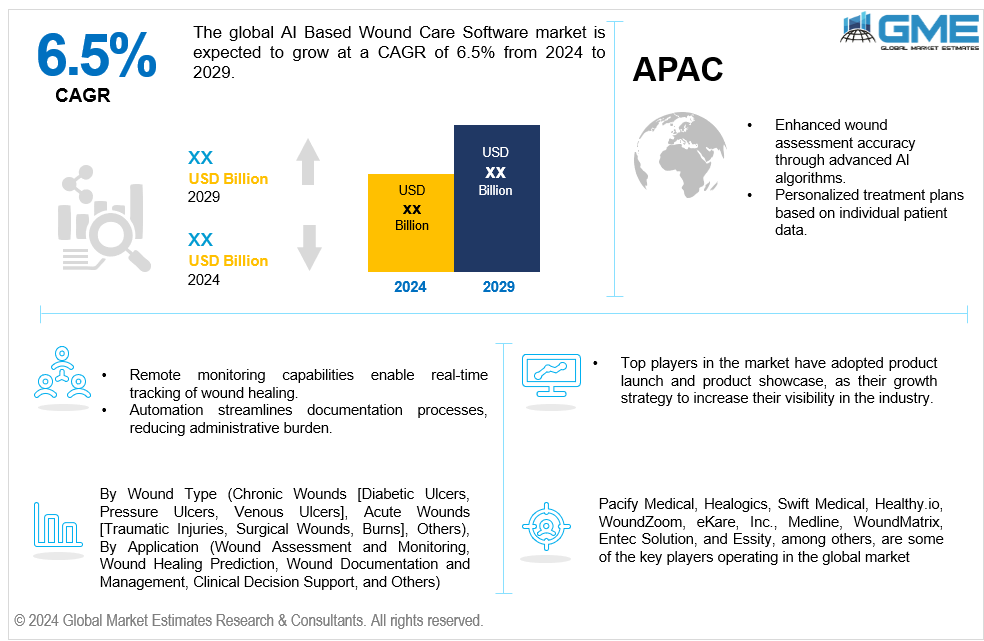 global ai based wound care software market 